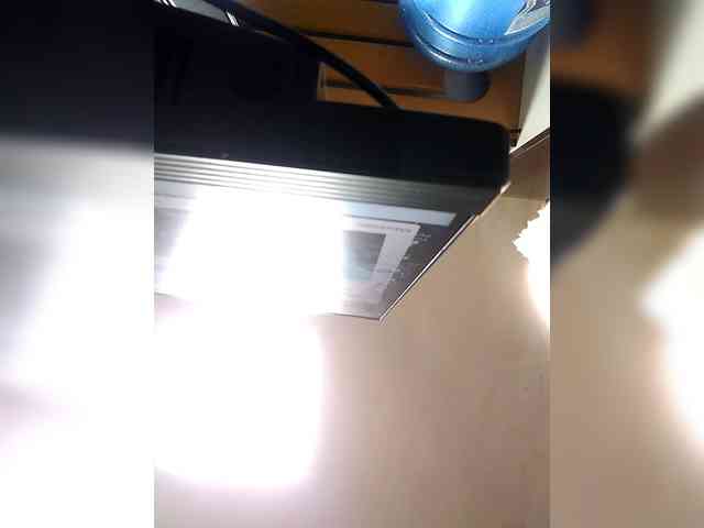 EmilyCCm webcam