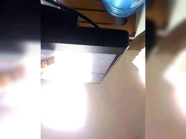 EmilyCCm webcam