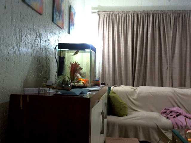 NewBeginnings8 live cam on BongaCams