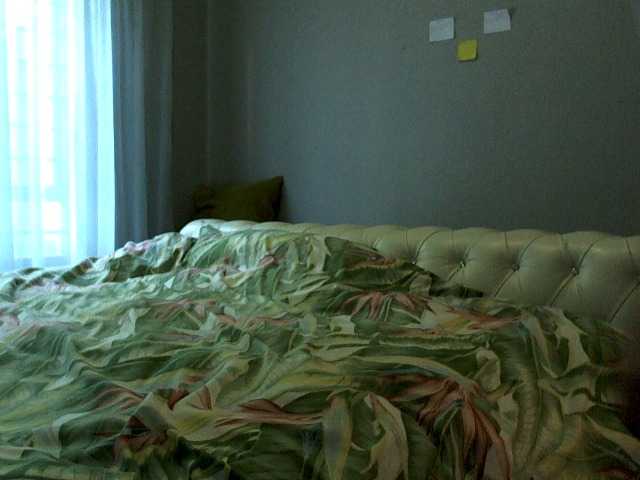 NewBeginnings8 live cam preview