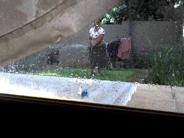 NewBeginnings8 webcam