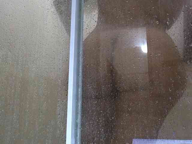 NewBeginnings8 webcam