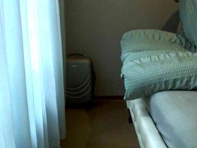 NewBeginnings8 webcam
