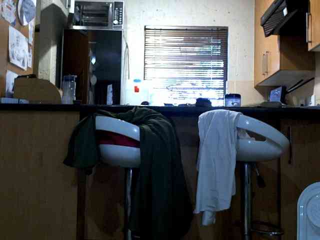 NewBeginnings8 webcam