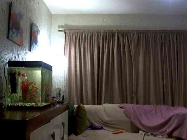 NewBeginnings8 webcam