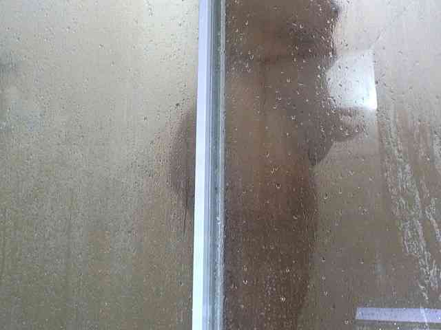 NewBeginnings8 webcam