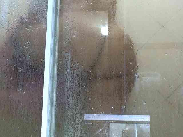 NewBeginnings8 webcam