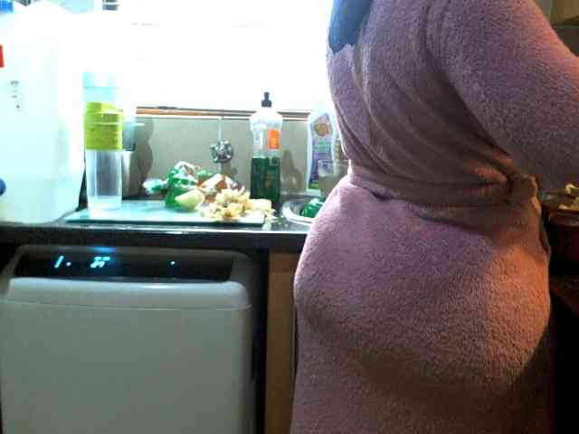 NewBeginnings8 webcam