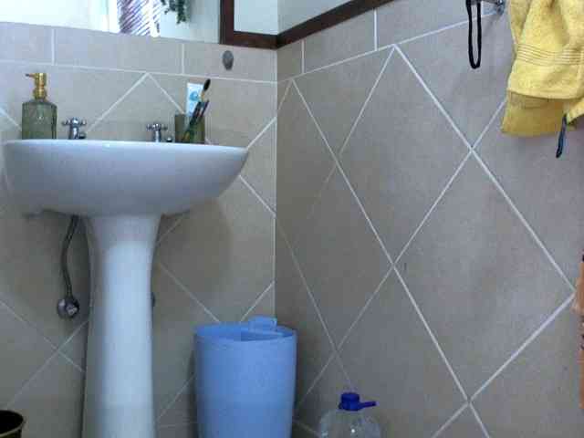 NewBeginnings8 webcam