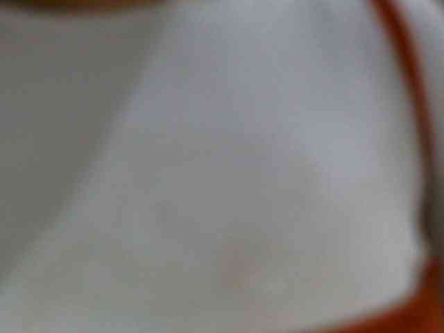 NewBeginnings8 webcam