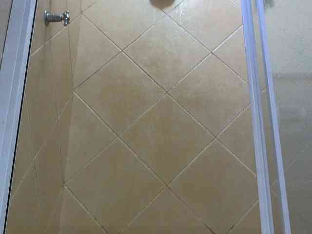 Model: NewBeginnings8