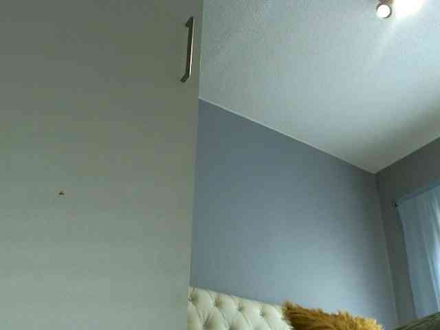 NewBeginnings8 webcam