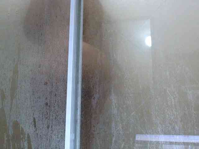 NewBeginnings8 webcam