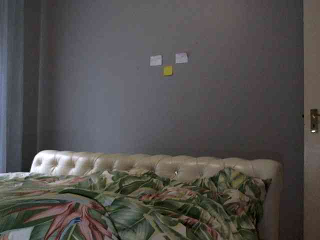 NewBeginnings8 webcam