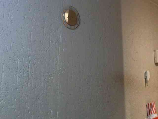 NewBeginnings8 webcam