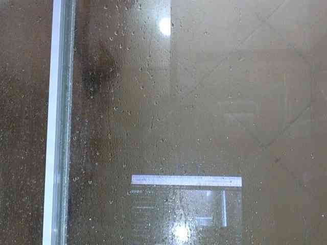 NewBeginnings8 webcam