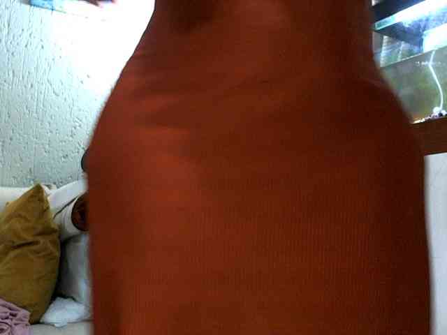 NewBeginnings8 webcam