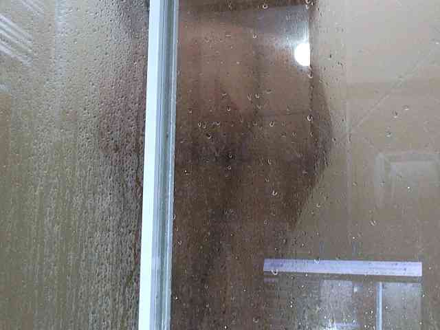 NewBeginnings8 webcam