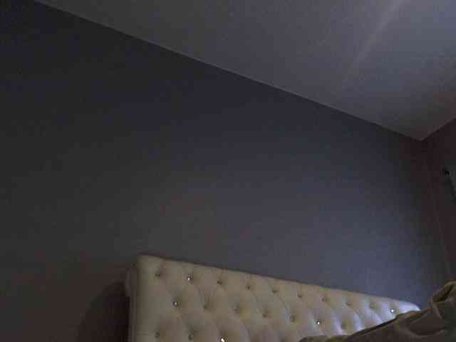 NewBeginnings8 webcam