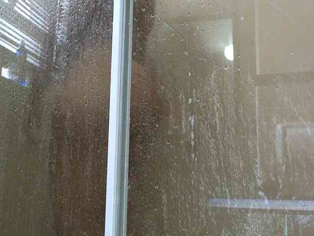 NewBeginnings8 webcam