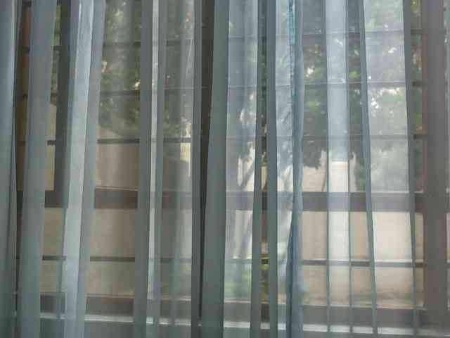 NewBeginnings8 webcam