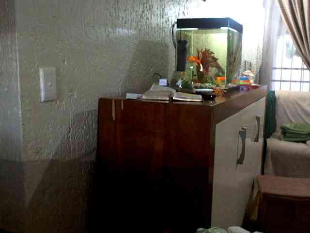 NewBeginnings8 webcam