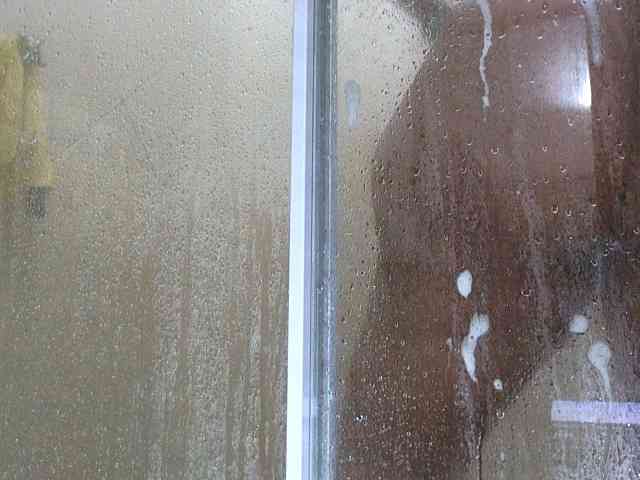 NewBeginnings8 webcam
