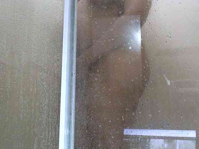 NewBeginnings8 webcam