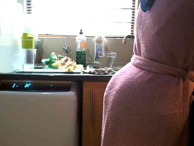 NewBeginnings8 webcam