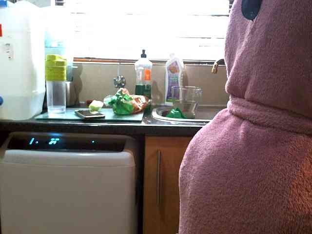 NewBeginnings8 webcam