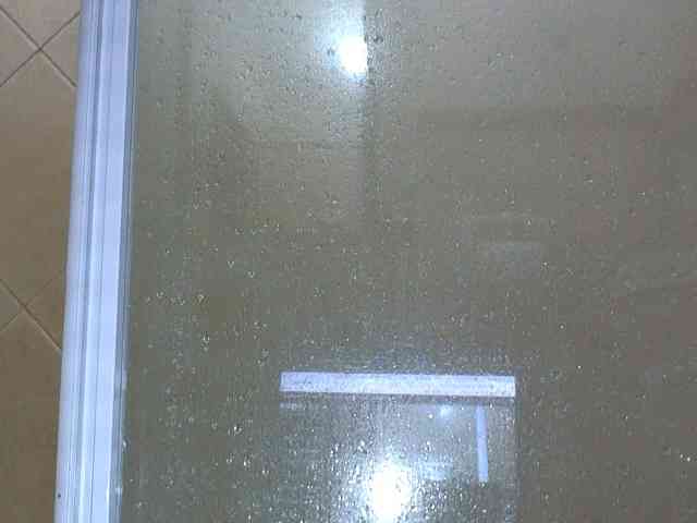 NewBeginnings8 webcam
