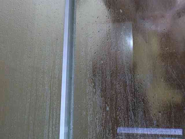 NewBeginnings8 webcam