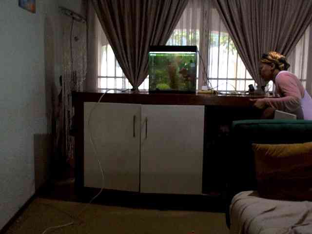 NewBeginnings8 webcam