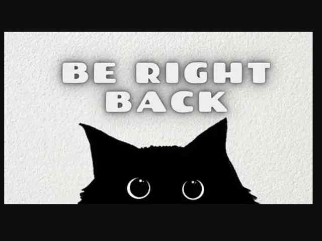 medusa-charity webcam