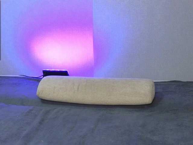 somniya live cam on BongaCams