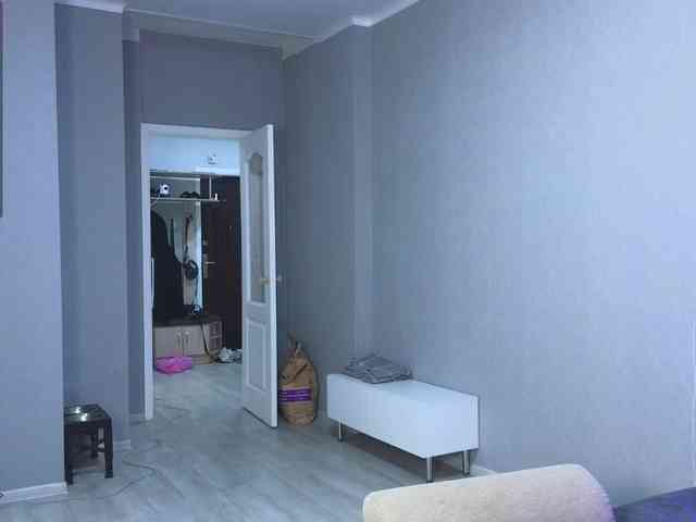 somniya webcam