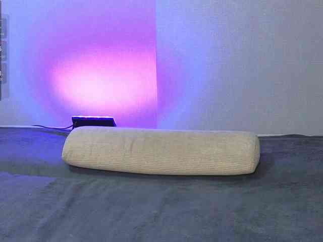somniya webcam