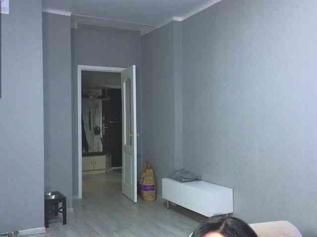 somniya webcam