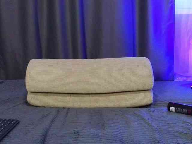 somniya webcam