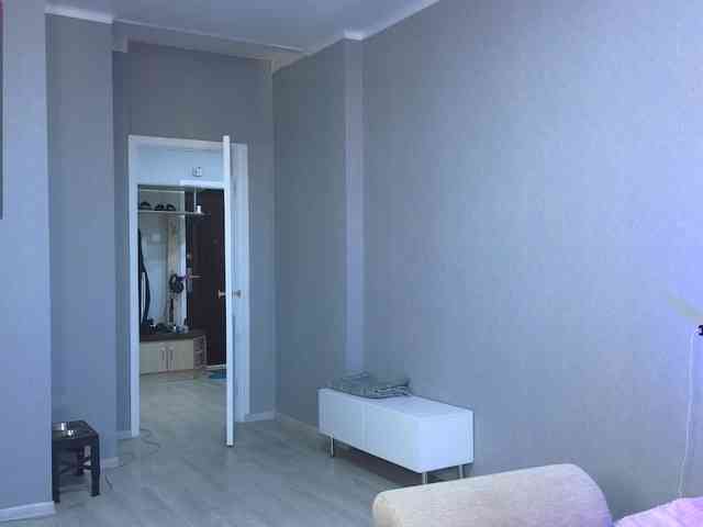 somniya webcam