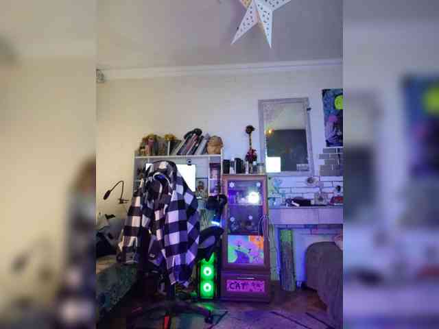 Vikeyna webcam