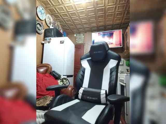 Vikeyna webcam