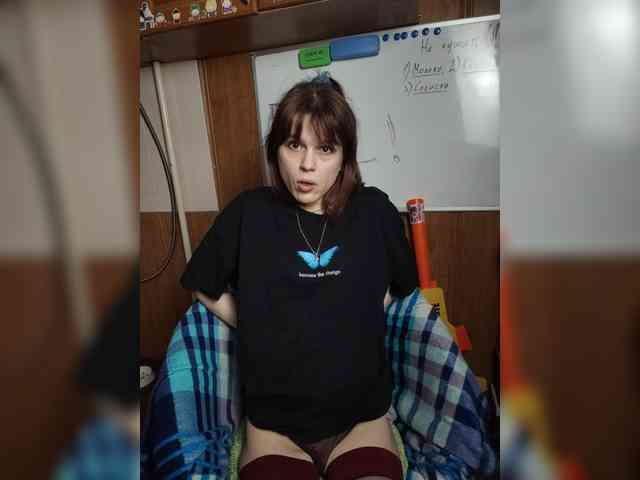 Vikeyna webcam
