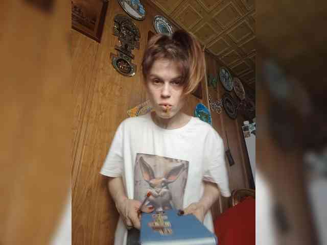 Vikeyna webcam