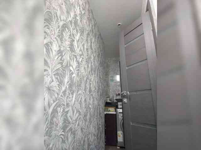 Vikeyna webcam