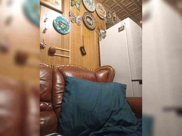 Vikeyna webcam