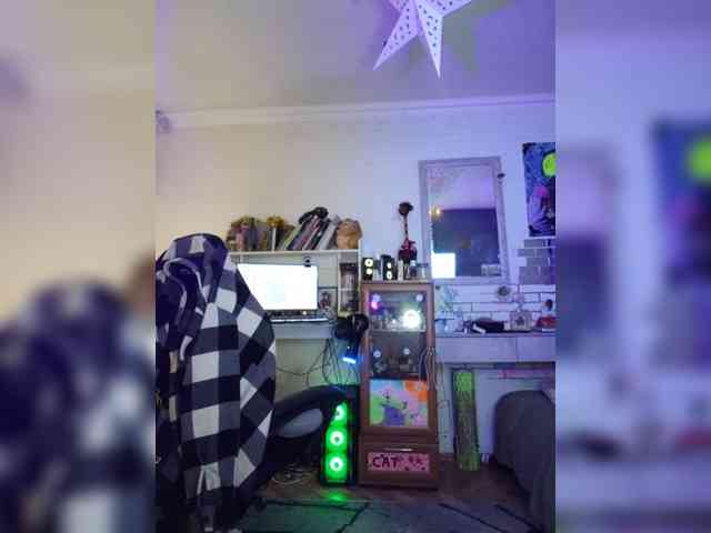 Vikeyna webcam