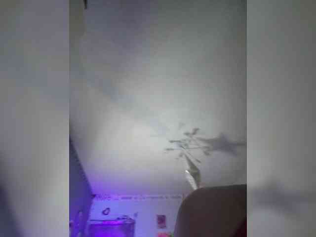Vikeyna webcam