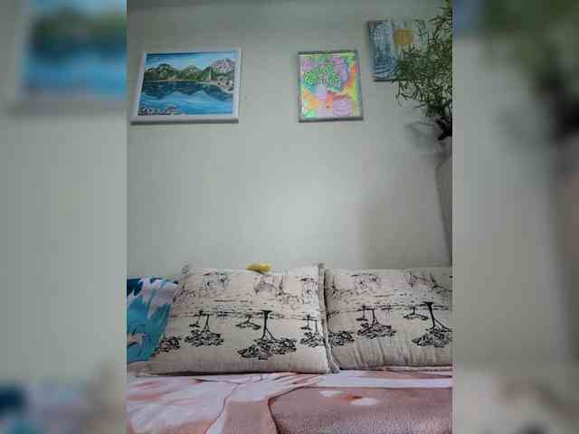 Vikeyna webcam