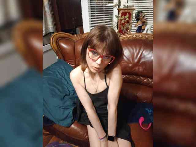 Vikeyna webcam